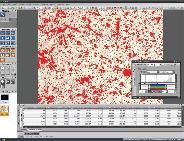 iWorks FG GUI